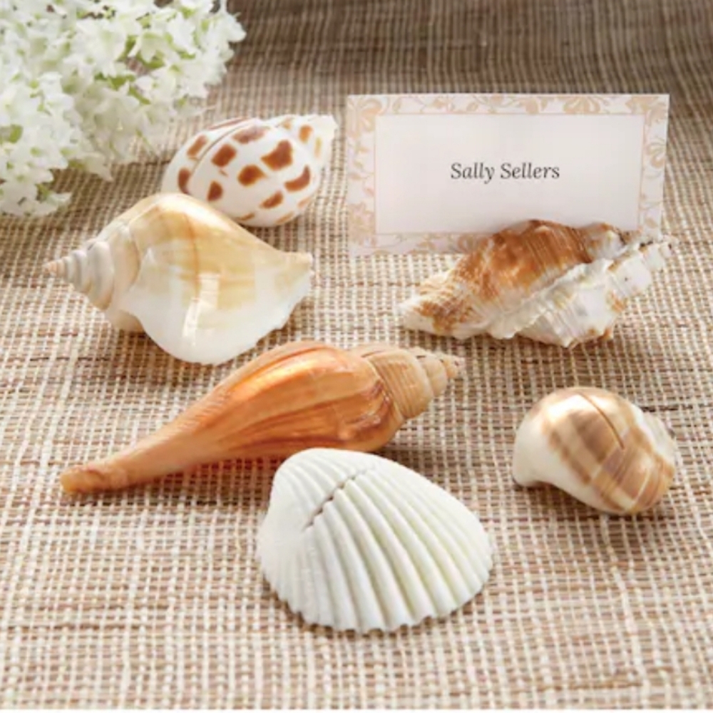 Shell Place cards 3 boxes for one price.